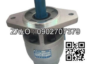 Bơm thủy lực bánh răng CBF-F420-ALPR