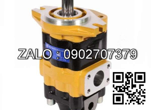 Bơm thủy lực bánh răng CBHC-F12-ALHL