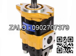 Bơm thủy lực bánh răng CBHC-F14.5-ALHL