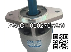 Bơm thủy lực bánh răng CBF-F450-ALPR