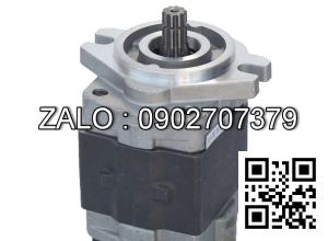 Bơm thủy lực bánh răng CBZ-2080-BLXR