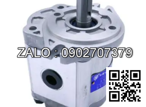 Bơm thủy lực bánh răng CBW-F306-CFBL