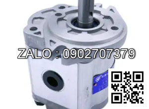 Bơm thủy lực bánh răng CBW-F306-CFPL