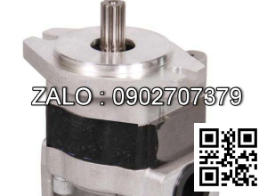 Bơm thủy lực bánh răng CBHZB-F25-ALPR