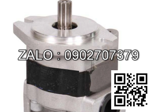 Bơm thủy lực bánh răng CBHZB-F26.5-ALPR