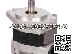 Bơm thủy lực bánh răng CBHZB-F30-ALPL