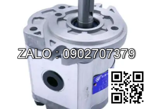 Bơm thủy lực bánh răng CBW-F304-AFP