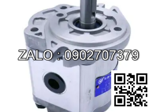 Bơm thủy lực bánh răng CBW-F316-CLBL