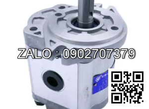 Bơm thủy lực bánh răng CBW-F314-CLBL