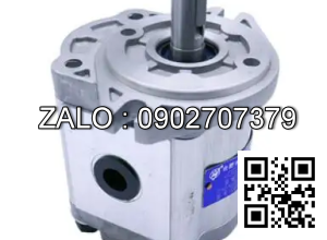 Bơm thủy lực bánh răng CBW-F314-CLB