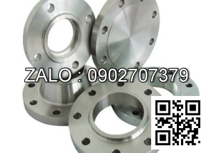 Mặt bít mù inox 316 10K