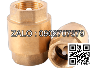 Van 1 chiều lò xo