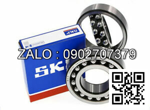 Vòng bi BI TRÒN SKF