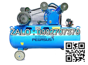 Máy nén khí Pegasus TM-V-0.17/8-100L
