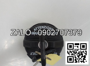 Nắp thùng nhiên liệu hd120 và hd210 HYUNDAI 311807CA00