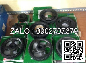 Bộ nhông đầu động cơ CUMMINS B5.9 , 6 CYL , CM3