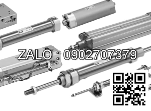 Xilanh khí nén TPC NLPD12-100R-W9HL