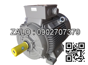 Động cơ điện SIEMENS 1LG4206-2AA60, 30 kW, 2 cực, chân đế