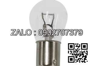 BULB-24V-25W F843324250