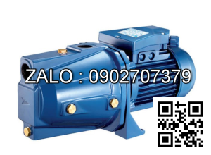 Bơm đầu Jet Pentax Cam 100