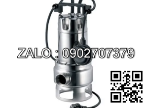 Máy bơm nước Pentax DX 100/2G