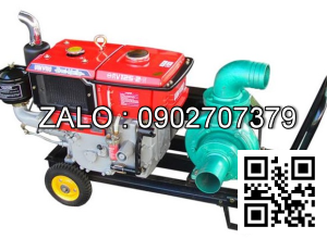 Máy bơm nước DTS3-RV70N