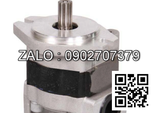 Bơm thủy lực bánh răng Hangcha CBHZG-F40-ALH6L