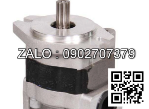 Bơm thủy lực bánh răng CBHZG-F34-AL-13L