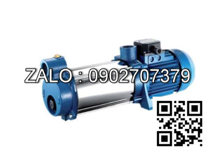 máy bơm nước PENTAX MPT 300/6