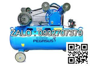 Máy nén khí PEGASUS TM-W-0.9/8-330L