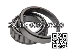 WHEEL BEARING 300-22-31370