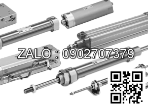 Xilanh khí nén TPC ADRM25-40-W13L