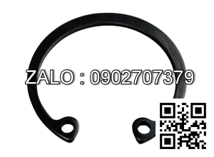 Phe piston CA498 Q43031