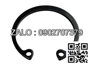 Phe piston LR4105G25