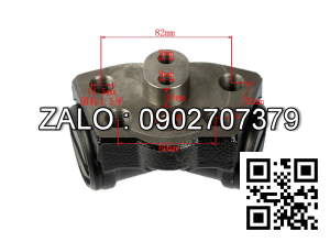 Heo thắng con toyota