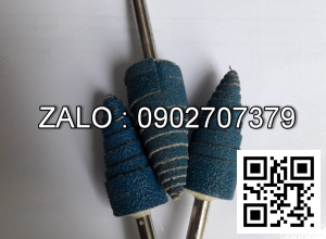 Nhám Cây, Nhám Trụ - Cây Nhám Trụ