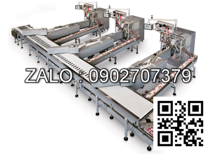 Băng tải cap phoi SU-Sidel 1