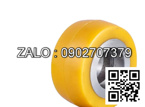 Bánh xe Support wheel 125x50 (6204ZZV) Toyota BOPT LPE200/8 171999