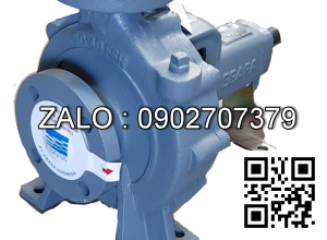 BƠM ĐIỆN ELEKTRIM 18.5KW EBARA 80×65 FSJA