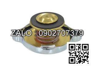 CAP-RADIATOR 13 PSI 3048470