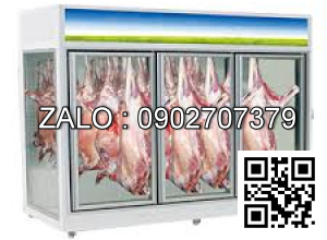 Tủ mát trưng bày thịt tươi OKASU - 09FE-3C