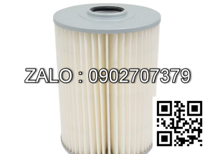 B&S496894 Lọc gió