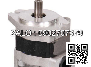 Bơm Thủy Lực CBHZG-F34-AL&L-AT , CBHZG-F34-AL&L-AT