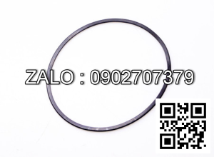 Ring Seal 15943-82481