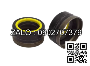 Phốt GNB 25.5x41.1x8