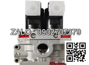 Van điện từ Toyooki AD-SL231D-304D DC24