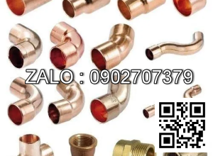 Co 90 noi ong dong phi 22mm