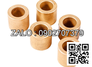 Ống Lót Trục Hỗn Hợp SF-2 16x22x35