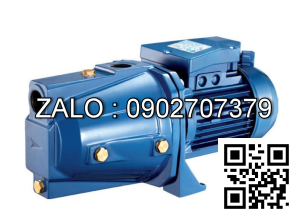 Bơm đầu Jet Pentax Cam 100