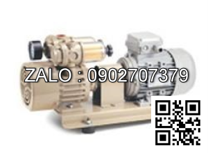 Bơm hút chân không Vacotronic RV-25